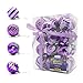 Yoland Shatterproof Christmas Balls Colored Painting ChristmasTrees Pendant Ornaments in Gift Boxes with Ribbon for Garden, Party, Indoor and Outdoor Décor Pack of 24ct (60mm / 2.36＂, Purple)