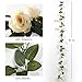 YILIYAJIA Artificial Rose Fake Vines Silk Spring Flowers Rose Garlands Hanging Rose Ivy Plants for Wedding Home Office Arch Arrangement Decoration 4PCS(28.16 FT)(Beige)