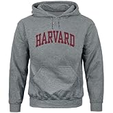 Ivysport Hooded Sweatshirt, Unisex, Essential Logo, Premium Grey Heavyweight Cotton