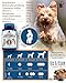 Glucosamine for Dogs with Chondroitin, Rex & Rider Extra Strength All Natural Joint Supplement for Dogs, Arthritis Pain Relief for Dogs, Hip Dysplasia Dog MSM for Dogs 60 Chewable Tablets USA Made