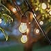 LampLust Outdoor String Lights 48 Ft - Glass Edison Bulbs, 15 Hanging Sockets, Dimmable, Commercial Grade, Waterproof, Connect 7 Strands, Patio, Porch or Garden Lighting - ETL Listed