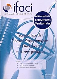 Transposition des normes professionnelles de l'audit interne et bonnes pratiques