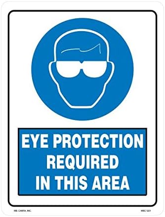 Eye Protection Required in This Area Vinyl Decal