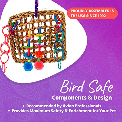 5 Super+Bird+Creations+Activity+Birds
