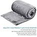 MEROUS Soft Queen Size Fleece Bed Summer Blanket 330 GSM Warm Cozy Microfiber Fuzzy Lightweight All Season Blankets for Couch Travel Sofa,Gray