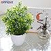 OFFIDIX Potted Artificial Plastic Plants,Mini Faux Plant with White Pots Plant Decorations Indoor Fake Desk Plant for Home and Office Desktop Decor 1pc
