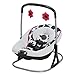Graco Cozy Duet Swing Plus Rocker, Azalea