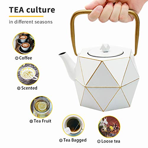 Tea Kettle, TOPTIER Japanese Cast Iron Teapot with Stainless Steel