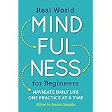 Real World Mindfulness for Beginners: Navigate Daily Life One Practice at a Time