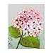 CUTICATE Pink Tone Flower Pattern Stamped Cross Stitch Kit Ribbon Embroidery Set for Beginner, DIY Home/Wall/Restaurant/Hotel Decor - 20x25cm/7.87x 9.84inch