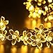Deckey Flower LED String Light 100 LED Outdoor Solar Powered 54.8FT Decorative Blossom Fairy Lighting Christmas Flashing Lights for Xmas Tree Patio Gardens House Yard (Warm White)