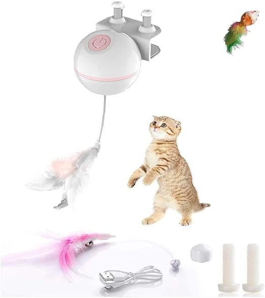 automatic cat laser amazon