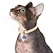 CollarDirect Leather Cat Collar, Cat Safety Collar with Elastic Strap, Kitten Collar with Bell Black Blue Red Orange Lime Green (Navy Blue, 9-11 Inch)