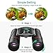 Compact Binoculars for Adults, Small Lightweight Folding HD Binocular for Bird Watching Theater Opera Traveling, Professional 10X22 Mini Binoculars Easy Focus for Adults and Kids.