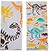 Fun Express Dino Dig Cellophane Bags | 24 Count | Great for Kids Parties, Birthday Parties, Themed Celebrations