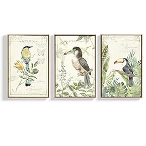 Floating Framed for Living Room Bedroom Vintage Bird...