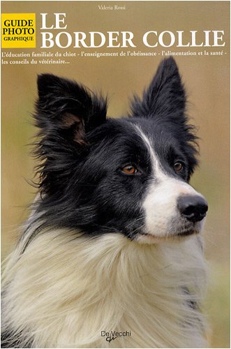 Le Border Collie French Edition Rossi Valeria Amazon Com Books