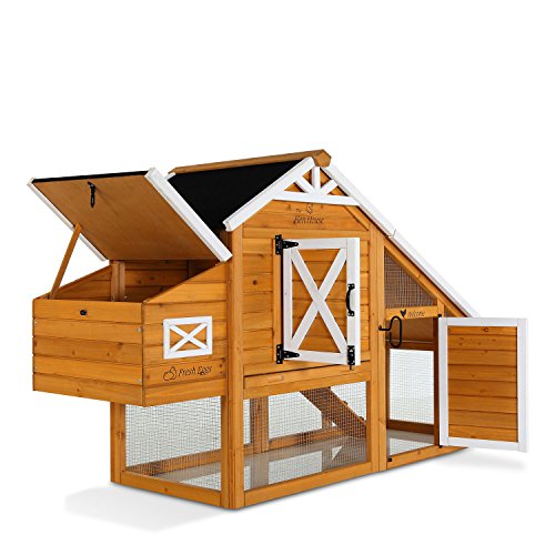 Pet Squeak Hen House Chicken Coop - Thumbnail 4