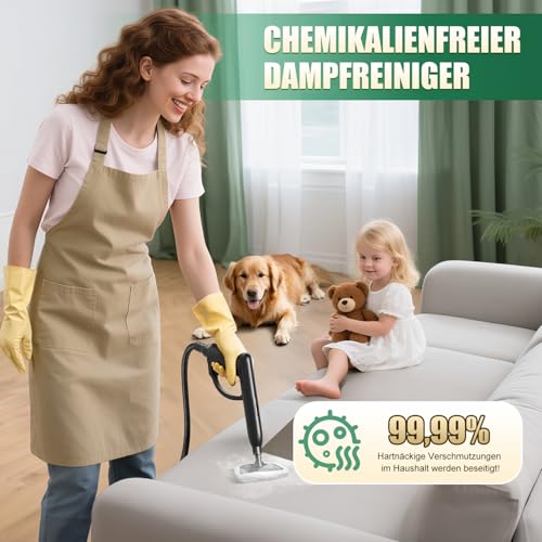 Rolipo Steam Cleaner 4 Bar Power 2000 W Max Tank 2 L Working Time 40 Minutes with Floor Cleaning Kit, Nozzles and Round Brush for Floors, Sofas, Upholstery and Cars