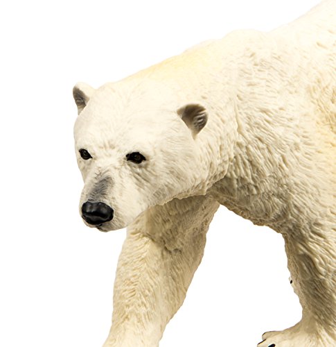Safari Ltd  Wild Safari Sea Life Polar Bear