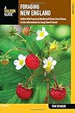 Foraging New England: Edible Wild Food And Medicinal Plants From Maine To The Adirondacks To Long Island Sound (Foraging Series) by Tom Seymour