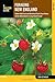 Foraging New England: Edible Wild Food And Medicinal Plants From Maine To The Adirondacks To Long Island Sound (Foraging Series)
