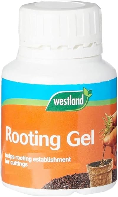 Westland Organic Rooting Gel Transparent 150 ml for Cuttings