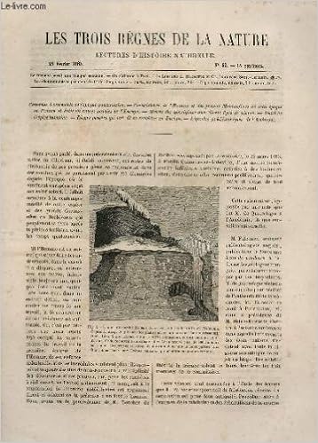 larcher bassari larcher bassari