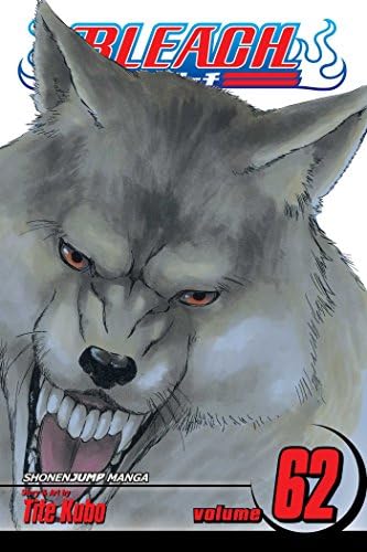 Amazon.com: Bleach, Vol. 58: The Fire: 9781421561356: Kubo, Tite