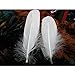 Vivian White Goose Feathers 6-8 inch Craft for Wedding Party Decor Pack of 100 PCS