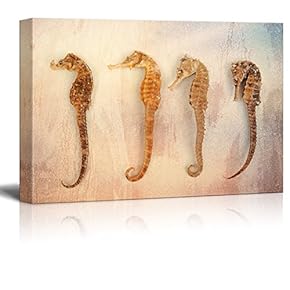 Canvas Print Wall Art - Sea Horses on Grunge Background - Gallery Wrap Modern Home Art | Ready to Hang - 12x18 inches