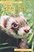 FERRET (Pet Owner's Guide) by Dennis Kelsey-Wood