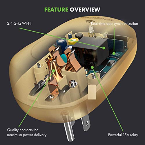 TOPGREENER Smart WiFi Powerful Plug with Energy Monitoring, WiFi Smart