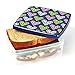Fit & Fresh Kids' Lunch Sandwich POD with Removable Ice Pack, BPA-Free Leftover Container, 2.75-Cup Capacity Food Storage Box, Freezer/Microwave/Dishwasher Safe