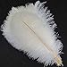Sowder 5pcs Ostrich Feathers 16-18inch(40-45cm) Home Wedding Decoration(White)