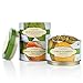 Tea Forte LOOSE LEAF TEA TRIO, 3 Small Tea Tins, Green Tea Sampler - Lemon Sorbetti, Moroccan Mint, Green Mango Peach