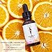 Vitamin C E Ferulic With Hyaluronic Acid Serum POTENT Facial Anti Aging & Brightening | Acne Scar Treatment & Dark Spot Remover 17% L-Ascorbic Acid
