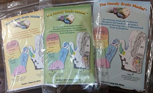 4 Handy+Brain+Model+B+1+2+medium