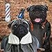 Fun Pugs 2018 Pug Wall Calendar (2017)