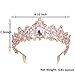 Sweet Princess Pink Crowns for Women Girls Crystal Rhinestone Queen Costume Party Festival Wedding Tiaras Headbands (Rose Gold Pink)