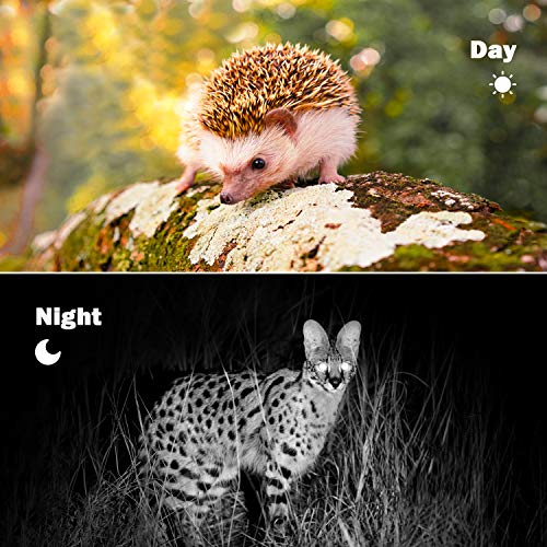 usogood 20MP Wildkamera mit Infrarot Nachtsicht 1080P Wildtierkamera mit Bewegungsmelder, 120° Weitwinkel Vision, IP66… – Bild 7