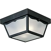 Progress Lighting 2-Light Indoor and Outdoor Flush Mount Ceiling Light, Interior and Exterior Ceiling-Mount Light Fixture for