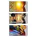 16 RFID Blocking Sleeves in Fun Realistic Designs! (12 Credit Card Holders & 4 Passport Protectors) Ultimate Premium Identity Theft Protection Sleeve Set for Men & Women.
