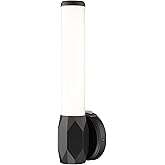 Z-Lite 1010-1S-MB-LED Cooper Wall Sconce, 1-Light 16 Watts, Matte Black