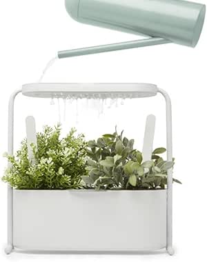 Umbra – Giardino con jardín de hierbas para interior estante perforado