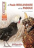 La poule hollandaise et la padoue by 