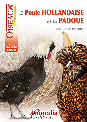La poule hollandaise et la padoue by 