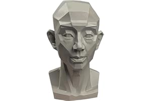 AGTIAAI Planar Head Model Drawing Mannequin Artists Learn Planes of Face Human Manikin Head for Medical and Artistic Drawing Skecthing Painting