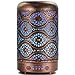 Ultrasonic Cool Mist Essential Oil Diffuser, ARVIDSSON Metal 100ml Aromatherapy Diffusers for Essential Oils, Whisper-Quiet Operation for Home, Office