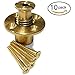 Wood Grip Wood Deck Brass Anchor with Collar for Pool Safety Cover. Universal Replacement for In-ground Swimming Pool Safety Covers and Mesh Covers, kasa Matter